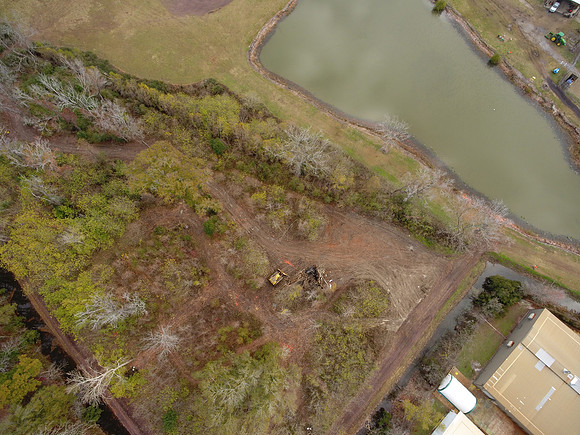 Bridgeview woods 034
