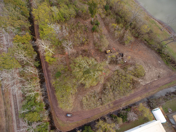 Bridgeview woods 038