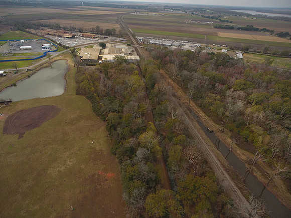 Bridgeview woods 041