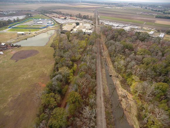Bridgeview woods 043
