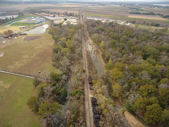 Bridgeview woods 047