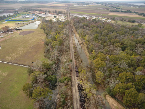 Bridgeview woods 048