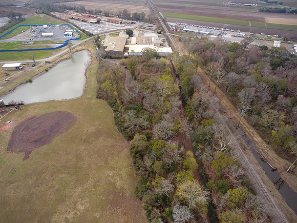 Bridgeview woods 052