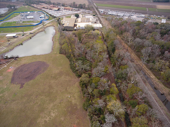 Bridgeview woods 053