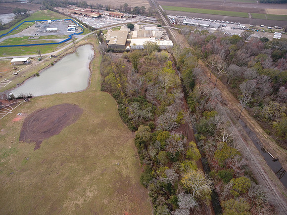 Bridgeview woods 054