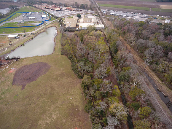 Bridgeview woods 055