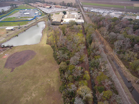 Bridgeview woods 056