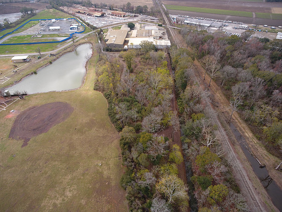 Bridgeview woods 057