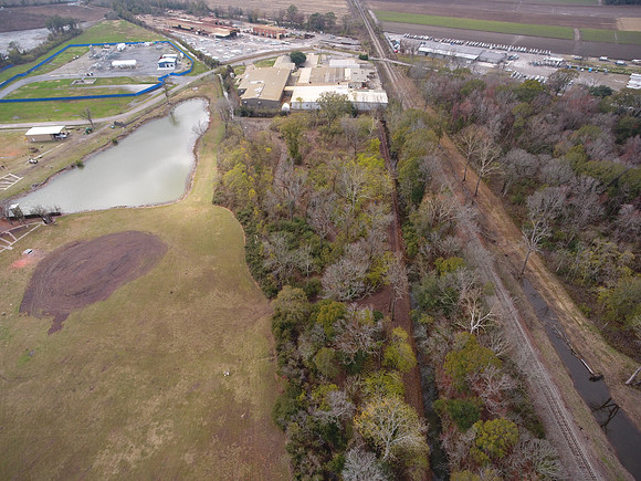 Bridgeview woods 058