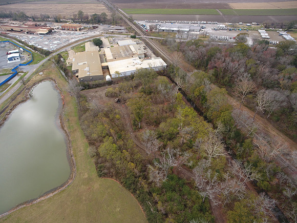 Bridgeview woods 061
