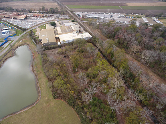 Bridgeview woods 063