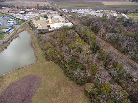 Bridgeview woods 065