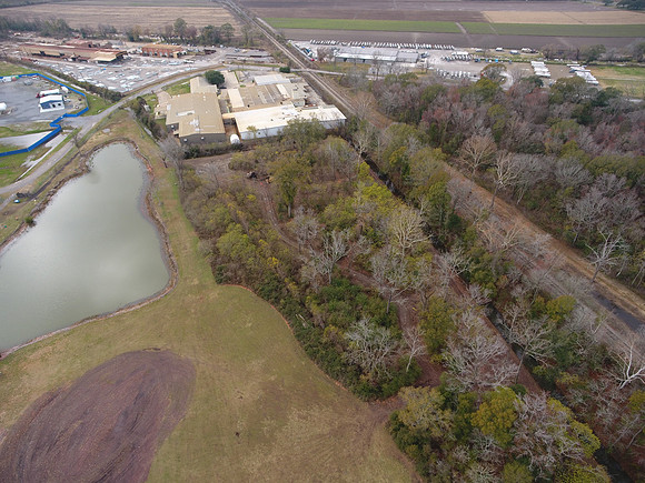 Bridgeview woods 066