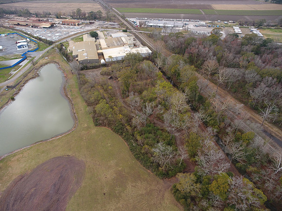 Bridgeview woods 064