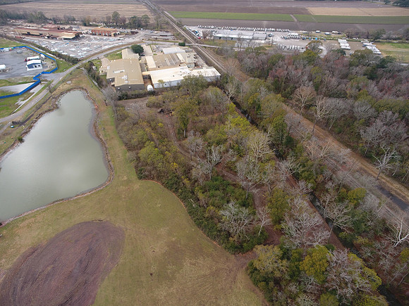 Bridgeview woods 067