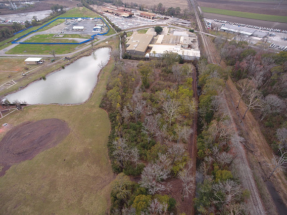 Bridgeview woods 068