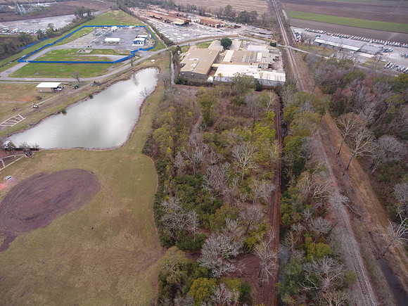 Bridgeview woods 069