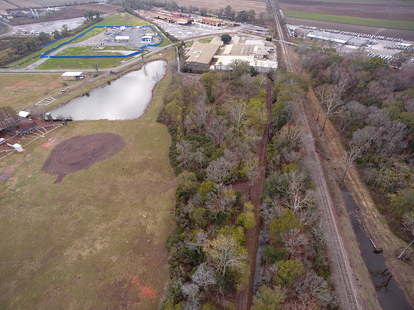 Bridgeview woods 071
