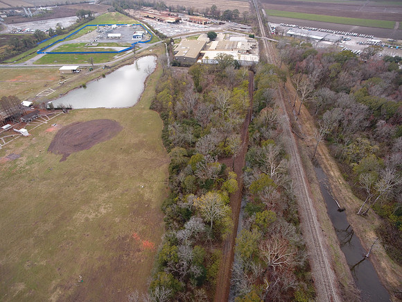 Bridgeview woods 072