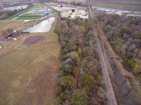 Bridgeview woods 075