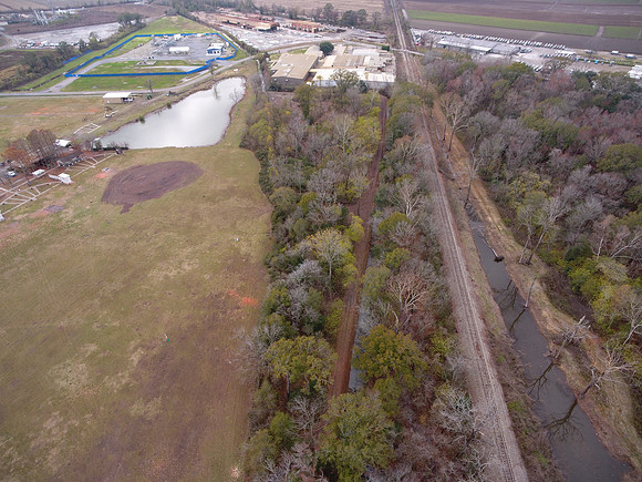 Bridgeview woods 076