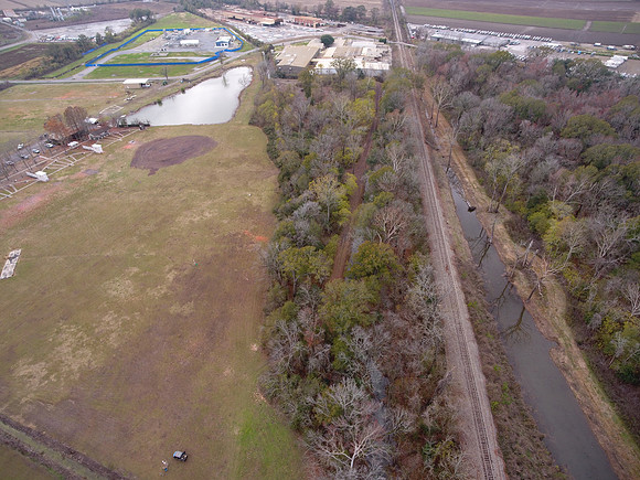 Bridgeview woods 077