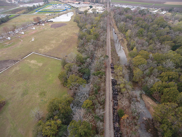 Bridgeview woods 085