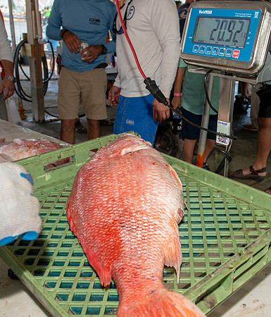 CHS fishing rodeo 2019 320