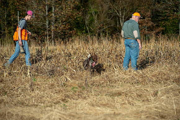 Field trial 030