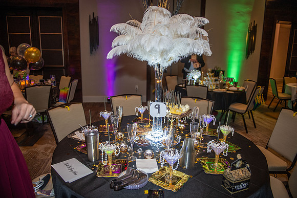 LLBTR ball017