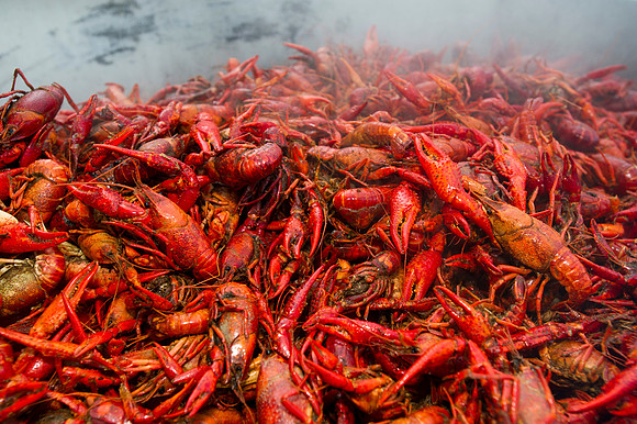 Seafood gala 093
