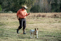 Field trial 006