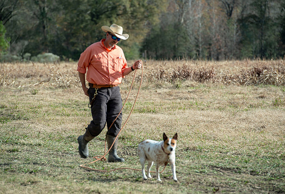 Field trial 006