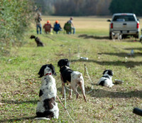 Field trial 004