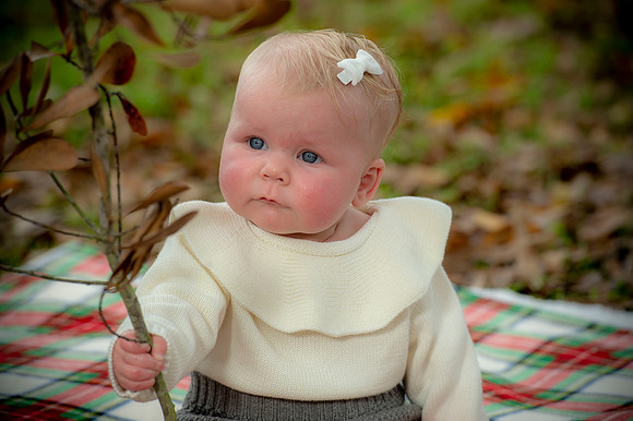 Kelley family 139