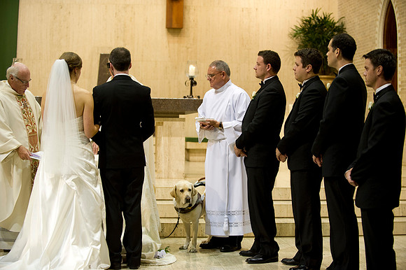 Ellen & Tim wedding 311