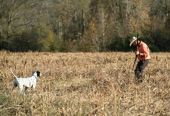 Field trial 043