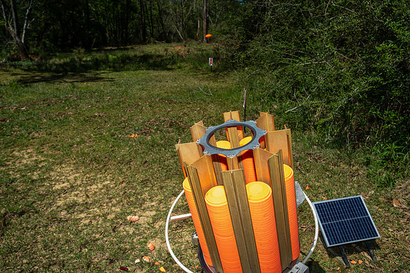 CCA sporting clays 175