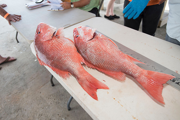 CHS fishing rodeo 2018 087