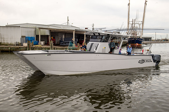 2025 GMTR 113