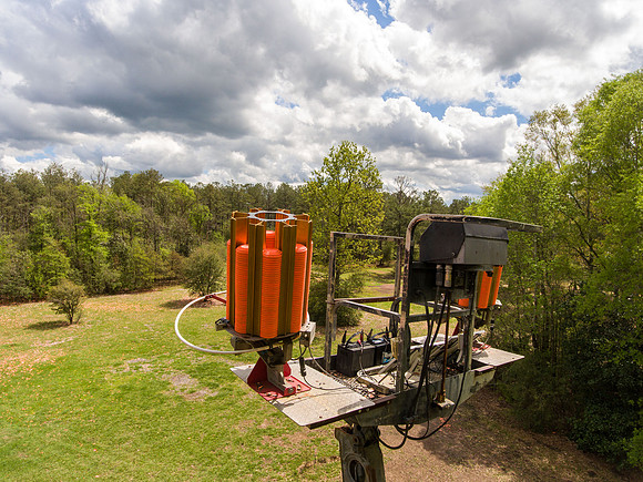 2024 CCA Sporting clays 115
