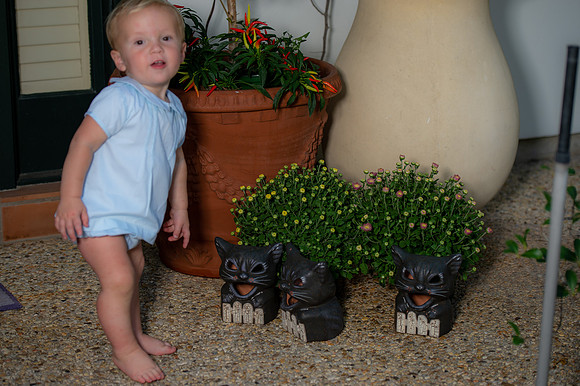 Conrad1 year 138