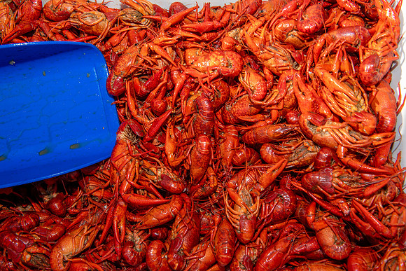 2024 seafood gala 112