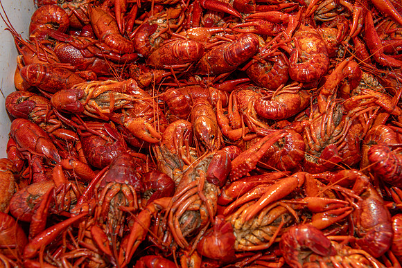2024 seafood gala 113