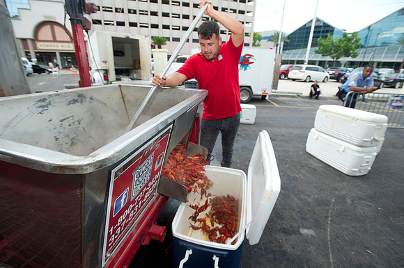 Seafood gala 125