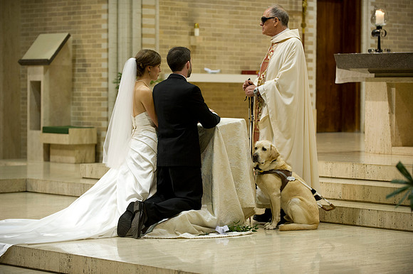 Ellen & Tim wedding 308