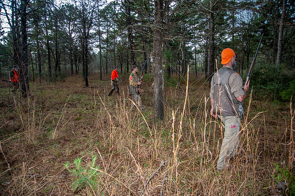 Parnell quail hunt 028