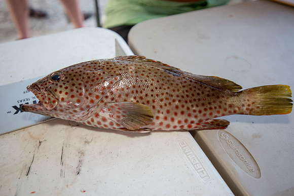 CHS fishing rodeo 2018 141