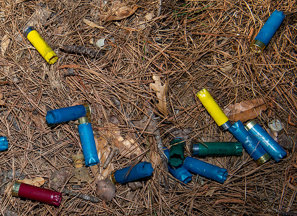 CCA sporting clays 352