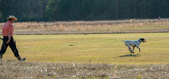 Field trial 046